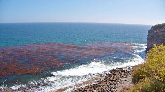 加州海岸线海中海滩岩石鸟瞰图