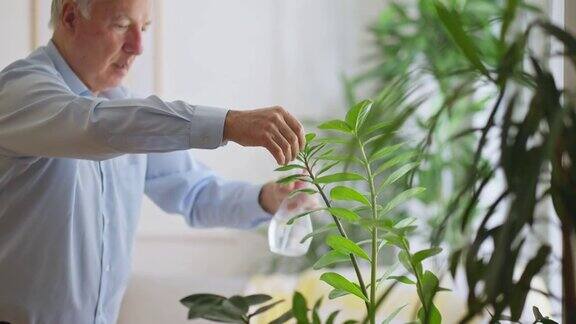 老男人培育植物