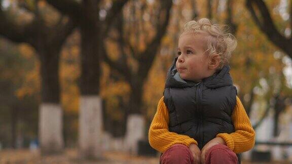 可爱的小男孩在秋天的公园里滑稽的孩子坐在风景如画的背景下漫步在公园里