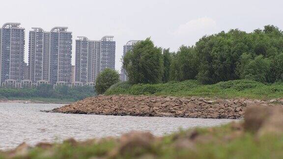 浑浊的河水拍打河滩