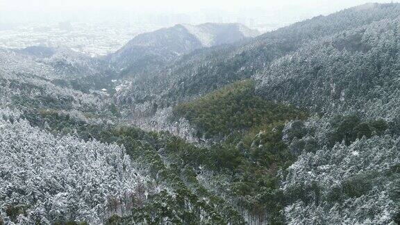 合集冬天森林雪景4K航拍2