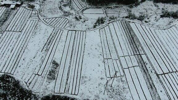 合集农业种植农田雪景4K航拍