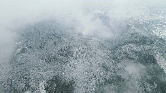 合集冬天森林雪景4K航拍0