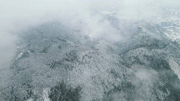 合集冬天森林雪景航拍