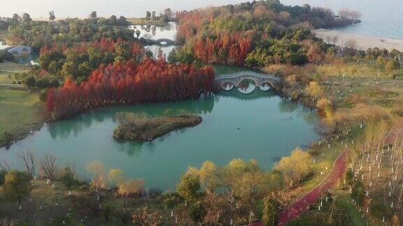 瑶湖湿地秋正浓