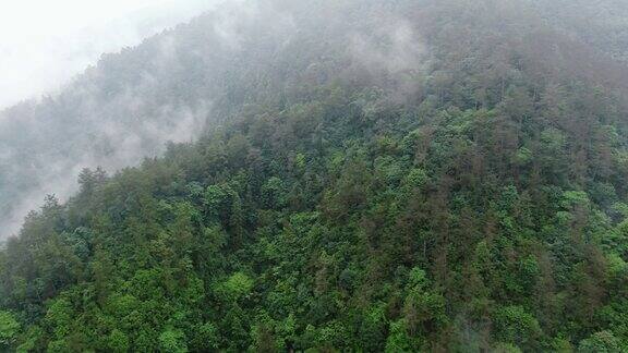合集大自然山间云雾缭绕4K航拍