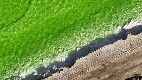 4K航拍：察尔汗盐湖的绿色岸线