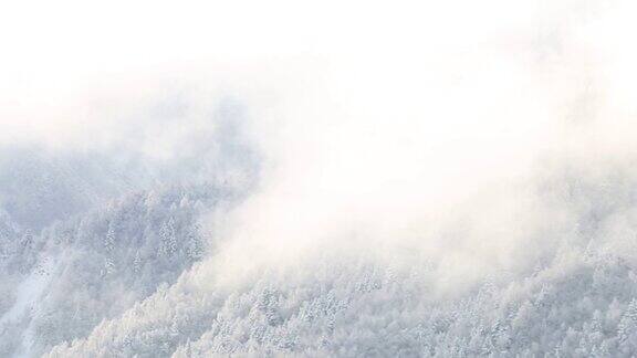自然景观 冬季山林雾气 旅游风光