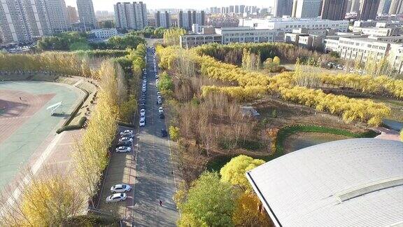 沈阳工学院 高等院校