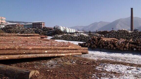 木料木材加工森林大树木材砍伐