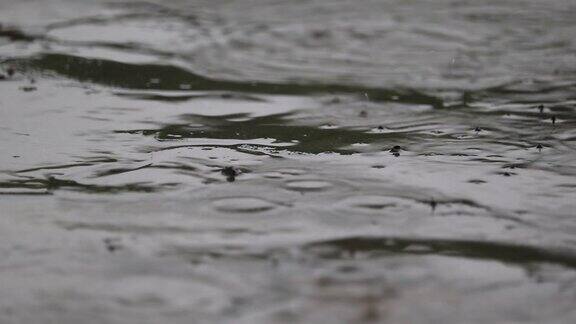 下雨天路面雨滴水花