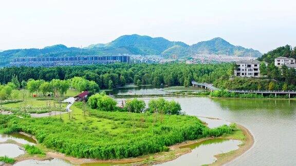 杭州临安青山湖水上森林公园