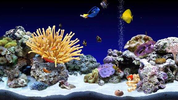 水族馆海底世界4