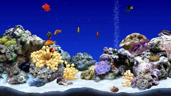 水族馆海底世界1