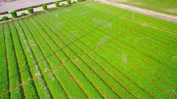 自动化灌溉农田