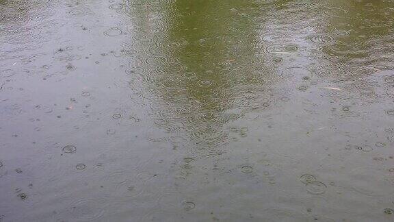 雨滴落在水塘里