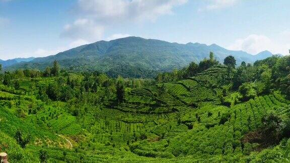 大山延时素材