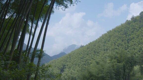 竹林大山里的风光延时摄影