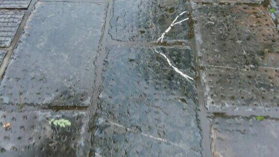 雨后青石板路实拍