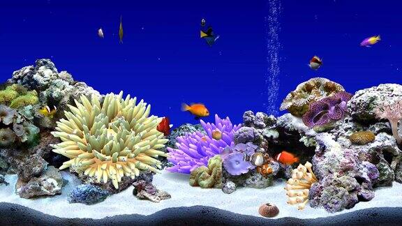 水族馆海底世界2