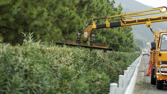 工人高速机械修剪绿化养护