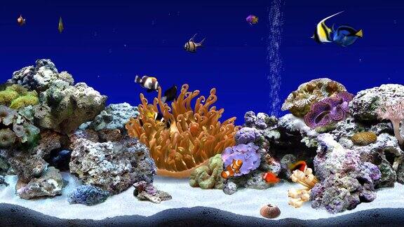水族馆海底世界3