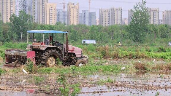 实拍4k农民耕地