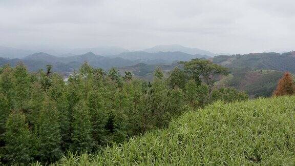 翠绿山川：自然风光延时摄影集