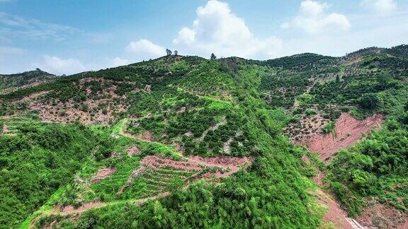 山川丘陵水果种植水果基地航拍