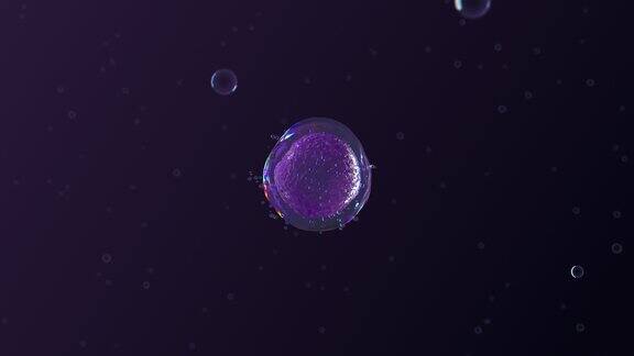 细胞融合/细胞球/肌肤水乳精华/水珠