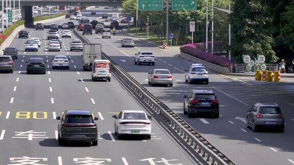 深圳湾滨海绿道主干道路交通