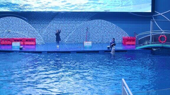 海洋馆动物滨州海洋馆实拍海豚