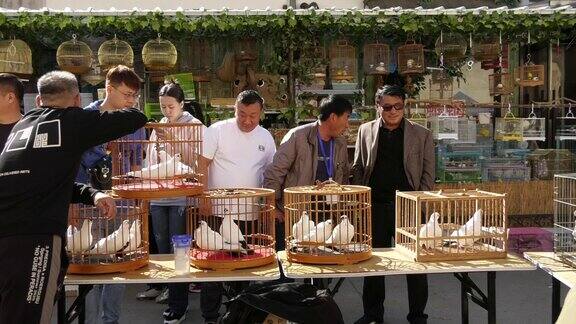 步行街 人流 花鸟市场 鸽子市场