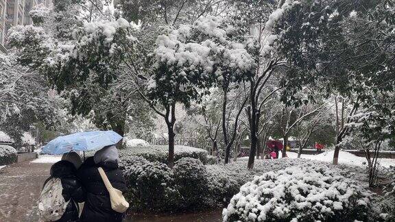 小区雪景自然风光树上大雪