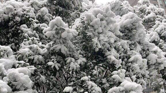 高清4K实拍城市雪景冬季大雪南方的雪