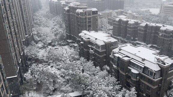 高清4K实拍城市雪景冬季大雪南方的雪