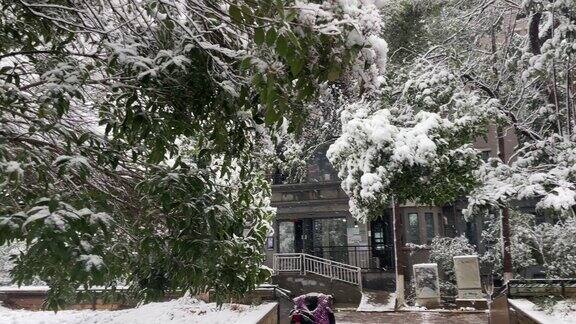 高清4K实拍城市雪景冬季大雪南方的雪