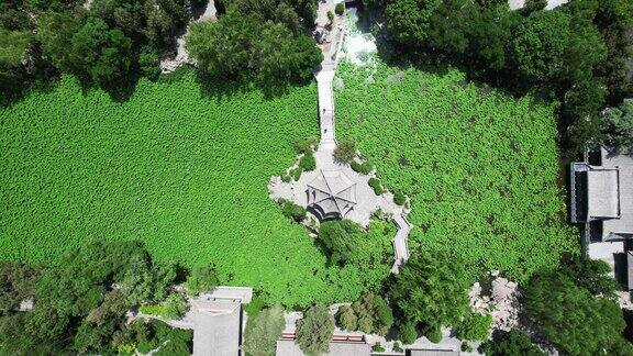 河北保定古莲池风景区航拍