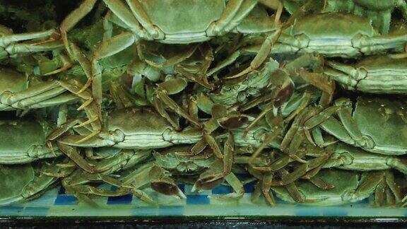海鲜螃蟹实拍