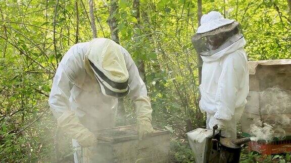 养蜂人打开蜂箱给蜜蜂喂糖