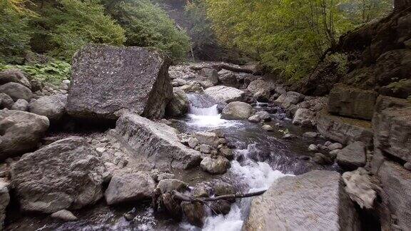 树林里的山谷溪流