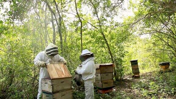 养蜂人打开蜂箱
