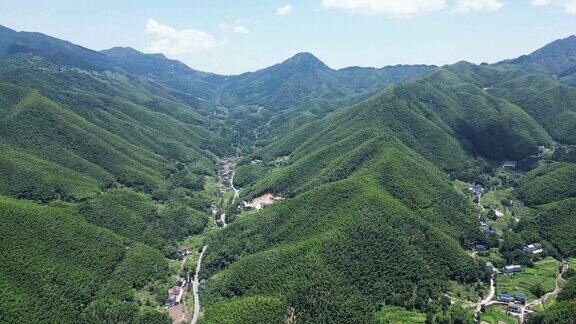 航拍南岳衡山5A景区竹林