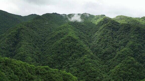 航拍雄伟大山森林自然风光 