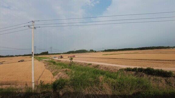 火车窗外平原小麦实拍