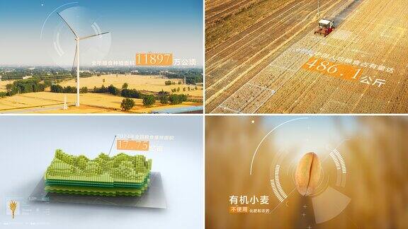 科技农业/麦田数据/麦子丰收/AE工程