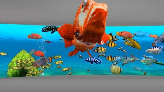 裸眼3D鱼 8K宽屏