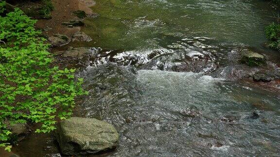 自然户外宁静清澈溪流小河水流潺潺流水