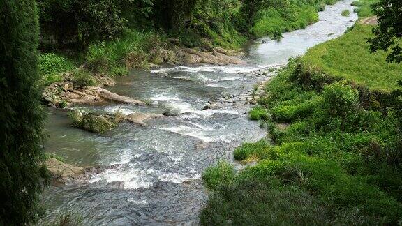 自然户外宁静清澈溪流小河水流潺潺流水