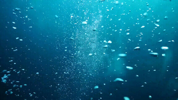 潜水深潜第一视角【4K原创】